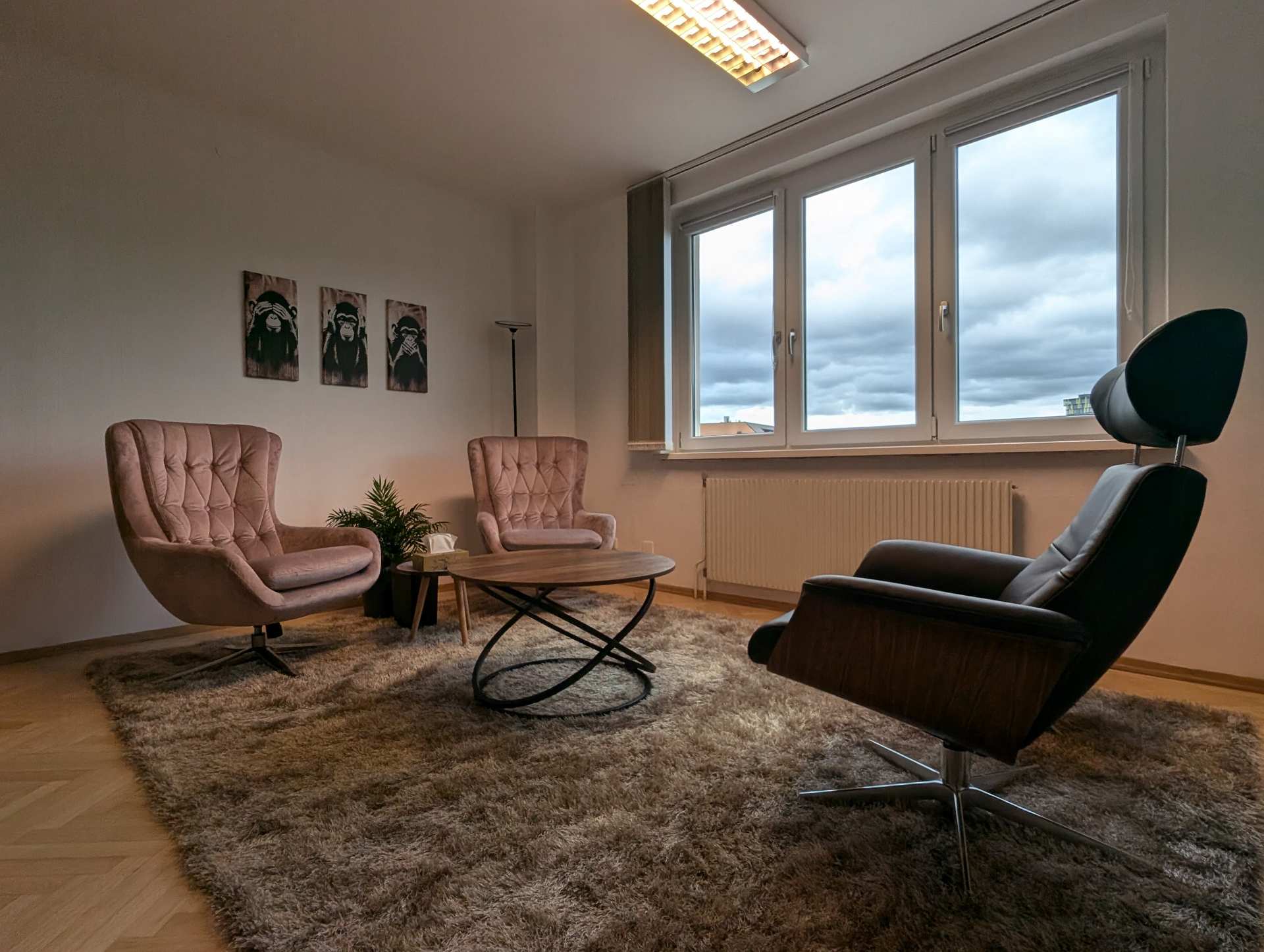 Praxisraum für Psychotherapie in Linz